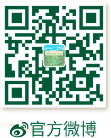 �ٷ�΢��